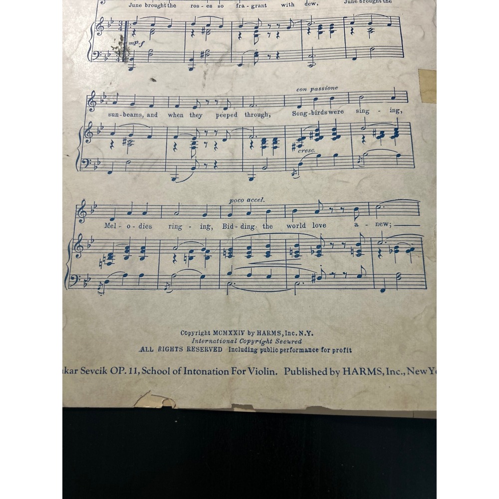 Sheet Music Serenade Solo The Student Prince in Heidelberg Sigmund Romberg Harms - Picture 9 of 10